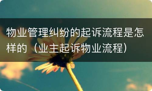 物业管理纠纷的起诉流程是怎样的（业主起诉物业流程）