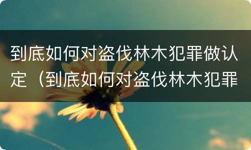 到底如何对盗伐林木犯罪做认定（到底如何对盗伐林木犯罪做认定的）