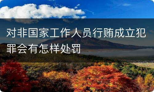 对非国家工作人员行贿成立犯罪会有怎样处罚
