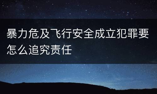 暴力危及飞行安全成立犯罪要怎么追究责任