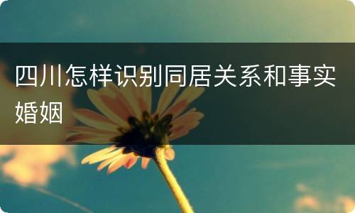 四川怎样识别同居关系和事实婚姻