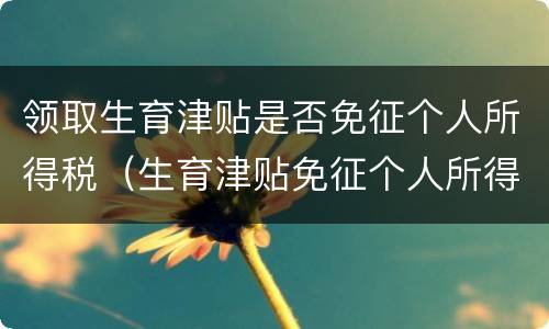 领取生育津贴是否免征个人所得税（生育津贴免征个人所得税在哪里申请）
