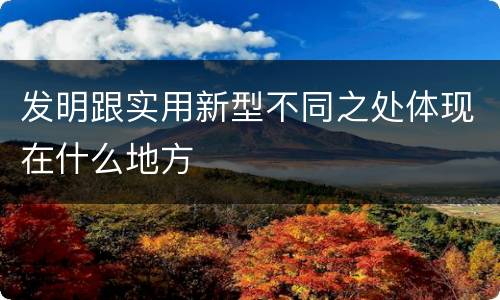 发明跟实用新型不同之处体现在什么地方
