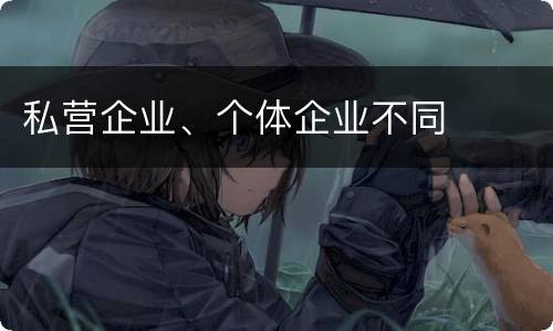 私营企业、个体企业不同