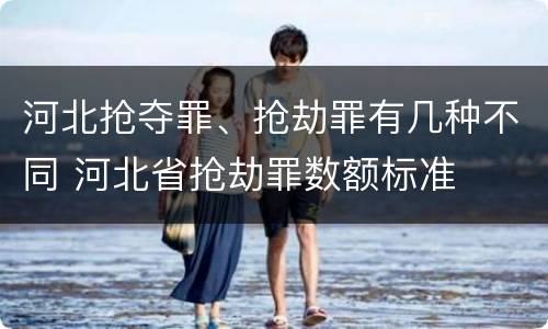 河北抢夺罪、抢劫罪有几种不同 河北省抢劫罪数额标准