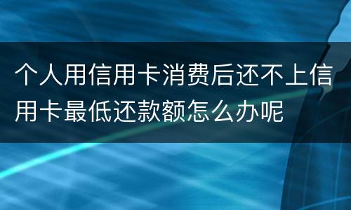 个人用信用卡消费后还不上信用卡最低还款额怎么办呢