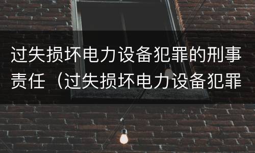 过失损坏电力设备犯罪的刑事责任（过失损坏电力设备犯罪的刑事责任主体）