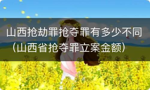 山西抢劫罪抢夺罪有多少不同（山西省抢夺罪立案金额）