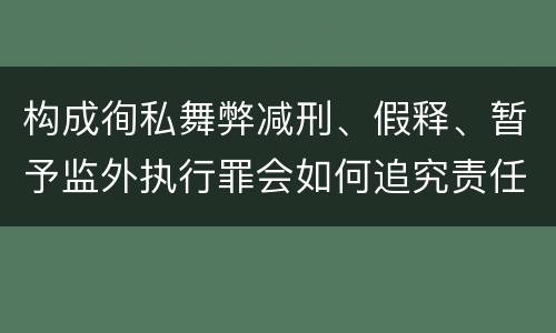 构成徇私舞弊减刑、假释、暂予监外执行罪会如何追究责任