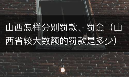 山西怎样分别罚款、罚金（山西省较大数额的罚款是多少）