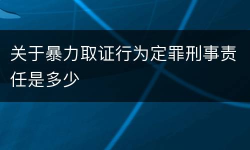 关于暴力取证行为定罪刑事责任是多少