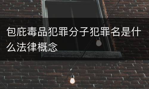 包庇毒品犯罪分子犯罪名是什么法律概念