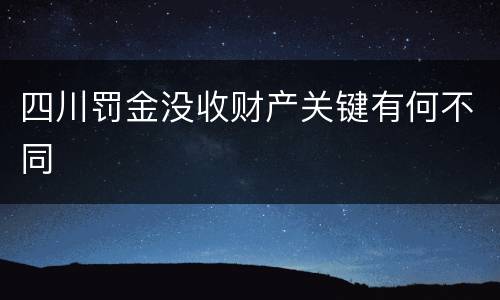 四川罚金没收财产关键有何不同