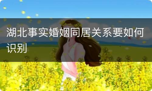 湖北事实婚姻同居关系要如何识别