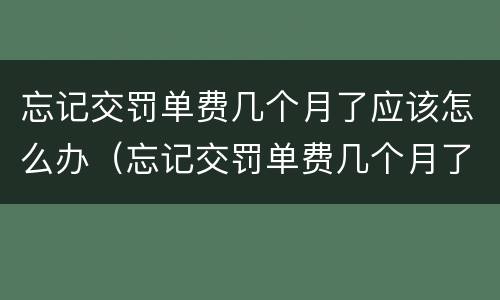 忘记交罚单费几个月了应该怎么办（忘记交罚单费几个月了应该怎么办理）