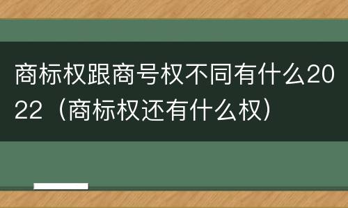 商标权跟商号权不同有什么2022（商标权还有什么权）