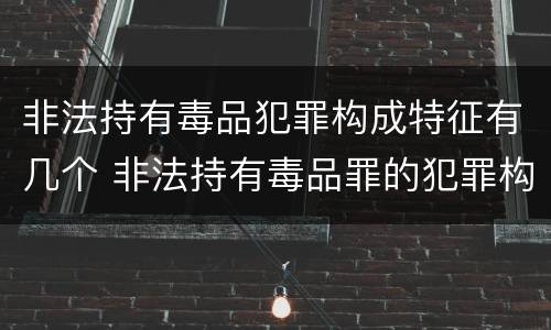 非法持有毒品犯罪构成特征有几个 非法持有毒品罪的犯罪构成