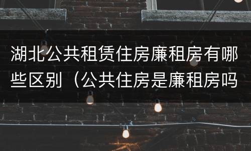 湖北公共租赁住房廉租房有哪些区别（公共住房是廉租房吗）