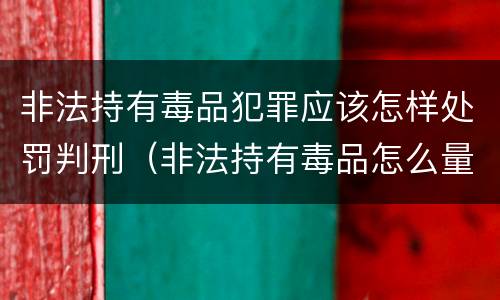 非法持有毒品犯罪应该怎样处罚判刑（非法持有毒品怎么量刑）