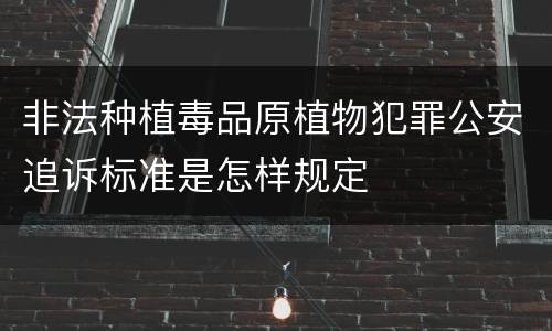 非法种植毒品原植物犯罪公安追诉标准是怎样规定