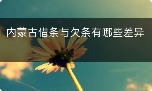 内蒙古借条与欠条有哪些差异