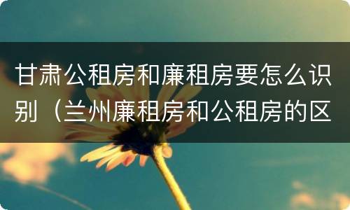 甘肃公租房和廉租房要怎么识别（兰州廉租房和公租房的区别）