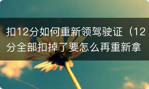 扣12分如何重新领驾驶证（12分全部扣掉了要怎么再重新拿到驾照）