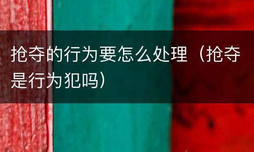 抢夺的行为要怎么处理（抢夺是行为犯吗）