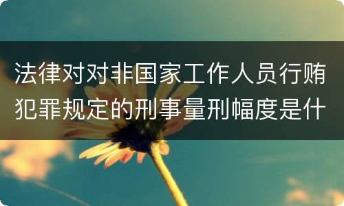 法律对对非国家工作人员行贿犯罪规定的刑事量刑幅度是什么