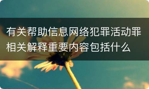 有关帮助信息网络犯罪活动罪相关解释重要内容包括什么