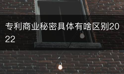 专利商业秘密具体有啥区别2022