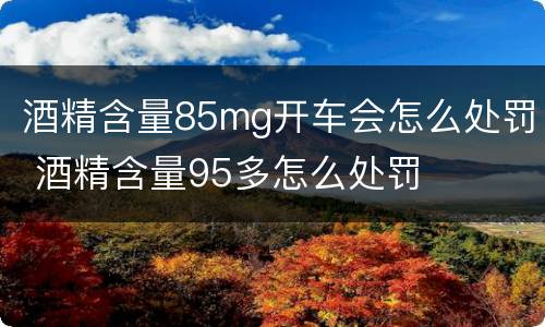 酒精含量85mg开车会怎么处罚 酒精含量95多怎么处罚