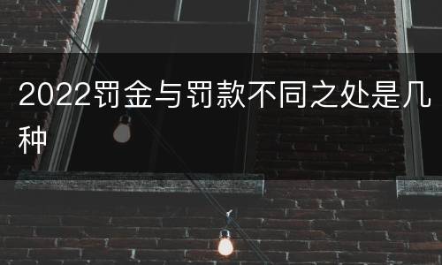 2022罚金与罚款不同之处是几种