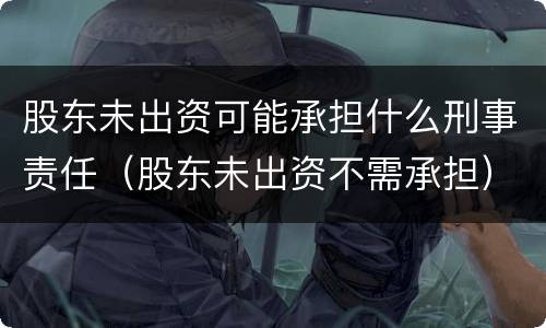 股东未出资可能承担什么刑事责任（股东未出资不需承担）