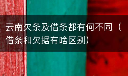 云南欠条及借条都有何不同（借条和欠据有啥区别）