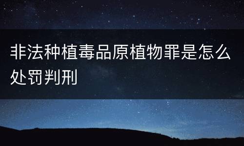 非法种植毒品原植物罪是怎么处罚判刑