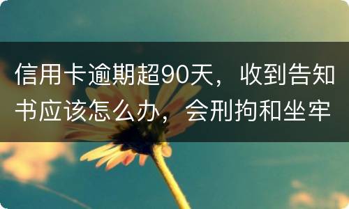 信用卡逾期超90天,收到告知书应该怎么办,会刑拘和坐牢吗