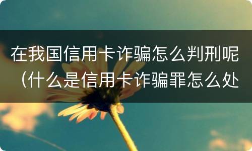 在我国信用卡诈骗怎么判刑呢（什么是信用卡诈骗罪怎么处罚）