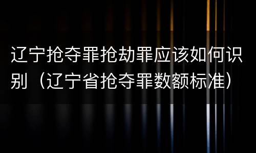 辽宁抢夺罪抢劫罪应该如何识别（辽宁省抢夺罪数额标准）