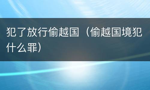 犯了放行偷越国（偷越国境犯什么罪）