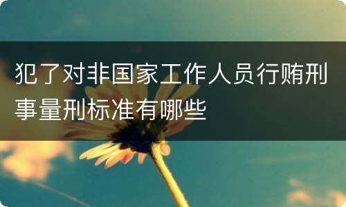 犯了对非国家工作人员行贿刑事量刑标准有哪些