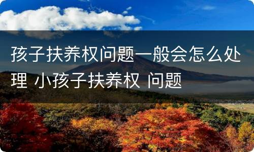孩子扶养权问题一般会怎么处理 小孩子扶养权 问题