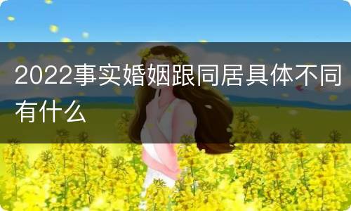 2022事实婚姻跟同居具体不同有什么