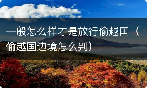 一般怎么样才是放行偷越国（偷越国边境怎么判）