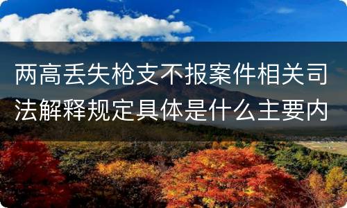 两高丢失枪支不报案件相关司法解释规定具体是什么主要内容