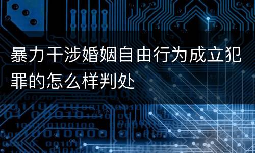 暴力干涉婚姻自由行为成立犯罪的怎么样判处