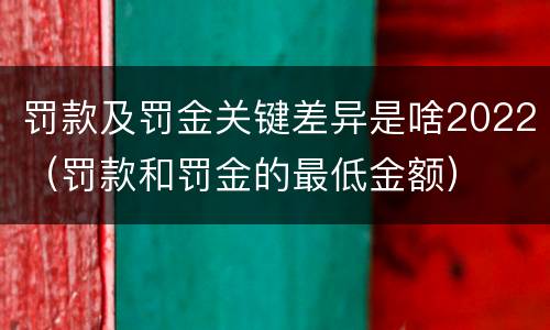 罚款及罚金关键差异是啥2022（罚款和罚金的最低金额）