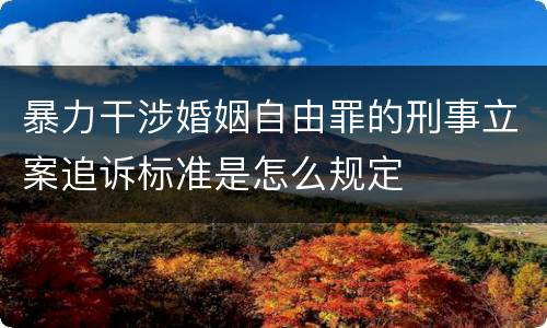 暴力干涉婚姻自由罪的刑事立案追诉标准是怎么规定