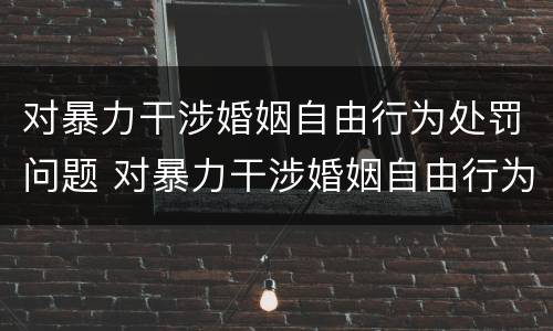 对暴力干涉婚姻自由行为处罚问题 对暴力干涉婚姻自由行为处罚问题的解释
