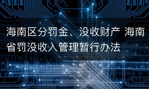 海南区分罚金、没收财产 海南省罚没收入管理暂行办法